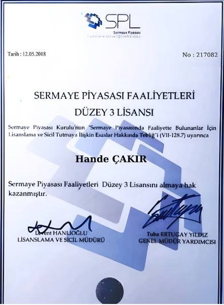 SPK Düzey 3 Lisansı
